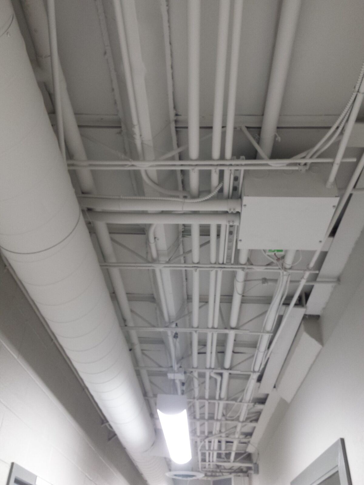 After: fully painted overhead structure, ductwork and services in the finished physiotherapy clinic